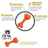 Dog Rope Toys for Aggressive Chewers,  Cotton Dog Chew Toys, Tough  5 Knots + Rubber Bone + Pet Toothbrush - Color May Vary-thumb2