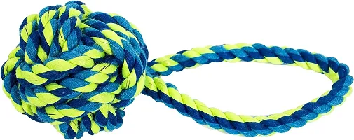 Rope Toys for Dogs, Puppy Chew Teething Rope Toys Set of 6 Durable Cotton Dog Toys for Playing and Teeth Cleaning Training Toy - Color May Vary-thumb4