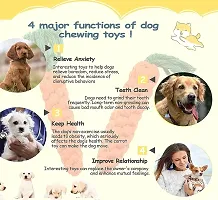 Hear Doggy Toys for Puppies + Toys for Small to Medium Dogs Chew Toys, Rope Ball Toys + New Chew Toys ndash; Color May Vary (5 in 1 Pack)-thumb2