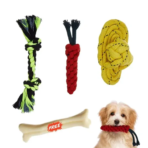 Hot Selling Pet Supplies 
