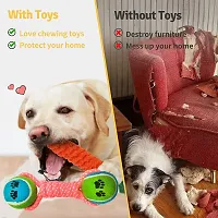Dog Chew Toys, Tough Dog Toys for Small Breed,Heavy Duty Dental Dog Rope Toys Kit for Medium Dogs,Carrot Indestructible Dog Toys, Cotton Puppy Teething Chew Tug Toy Set of 3-thumb3