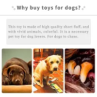 Hear Doggy Toys for Puppies, Chewable Teething Toys, Interactive Toys, Chew Dog Ball Toys, Squeaky Toys, Puppies Toys 7 in 1 Combo Pack Toys (Buy One Get One Chew Bone Free)-thumb4