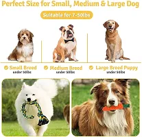 Hear Doggy Toys for Puppies, Chewable Teething Toys, Interactive Toys, Chew Dog Ball Toys, Squeaky Toys, Puppies Toys 7 in 1 Combo Pack Toys (Buy One Get One Chew Bone Free)-thumb1