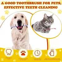 Dog Grooming Kit for Puppies  Dogs Pet Bath Brush Grooming Comb,Pet Toothbrush Scissor Nail Clipper  (For Dog, Cat, Dog  Cat, Hamster, Rabbit, Mouse)-thumb1