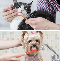 Pet Grooming, Deshedding  Massaging Glove for Dogs Cats Cleaning Remove Hair + Dog Toothbrush for Pets + Cotton Rope Ball for Dogs (Free Nylon Bone) - Color May Vary-thumb4