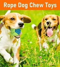 Toys for Puppies  Small Dogs Toys | Rope Ball Toy | Color May Vary | Chew Toys Cotton, Rubber Ball, Chew Toy, Rubber Toy, Training Aid For Dog-thumb4