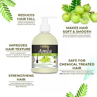 Amla Shampoo For Hair Growth, Anti Hair Fall And Damage Repair-thumb1