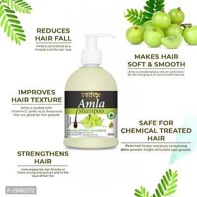 Amla Shampoo For Hair Growth, Anti Hair Fall And Damage Repair-thumb2