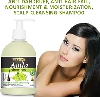 Amla Shampoo For Hair Growth, Anti Hair Fall And Damage Repair-thumb3