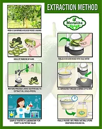 Premium Avocado Oil- 100Per Pure And Natural-thumb3