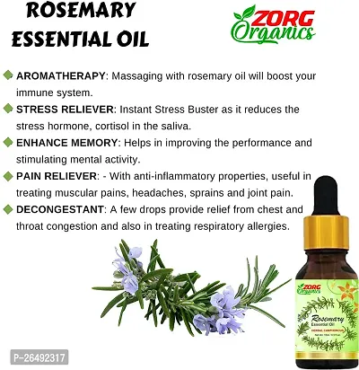 Rosemary Essential Oil For Joints, Massage, Healthy Hair Growth Oil-thumb2