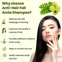 Amla Shampoo For Hair Growth, Anti Hair Fall And Damage Repair-thumb2