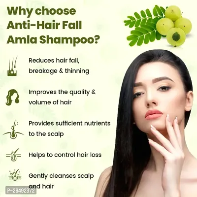 Amla Shampoo For Hair Growth, Anti Hair Fall And Damage Repair-thumb3