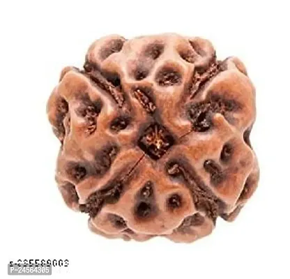 Bros Moon Certified 4 Mukhi Indonesian Rudraksha scarce and peculiar as it embraces the combined power of Gauri Shankar pc-1-thumb0