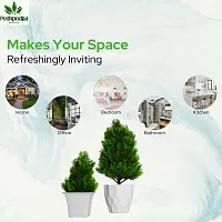 Artificial Bonsai Plant with Pot For Home Decoration-thumb2