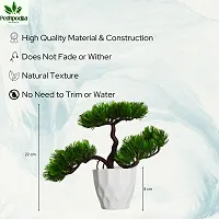 Artificial Bonsai Plant with Pot For Home Decoration-thumb1