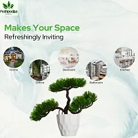 Artificial Bonsai Plant with Pot For Home Decoration-thumb4