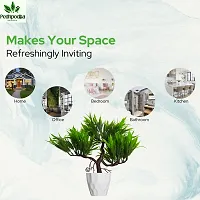 Artificial Bonsai Plant with Pot For Home Decoration-thumb2