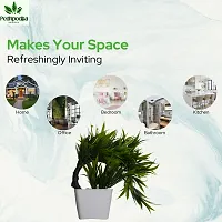 Artificial Bonsai Plant with Pot For Home Decoration-thumb4