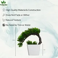 Artificial Bonsai Plant with Pot For Home Decoration-thumb1