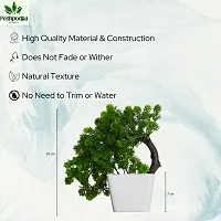 Artificial Bonsai Plant with Pot For Home Decoration-thumb4