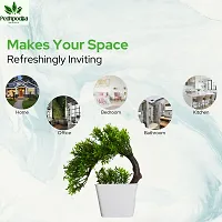 Artificial Bonsai Plant with Pot For Home Decoration-thumb4