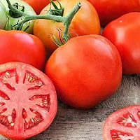 Tomato Seeds Hybrid Pack Of 100Gm-thumb2
