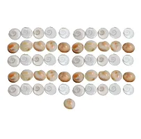 Saptraag Gomti Chakra (21 pc, 2 cm)-thumb1