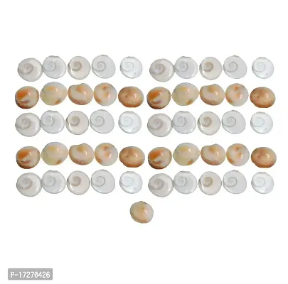 Saptraag Gomti Chakra (21 pc, 2 cm)-thumb2