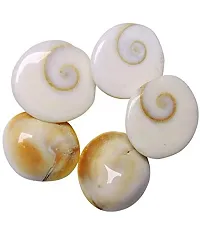 Saptraag 51 Pieces Big Size gomti Chakra 1.5 cm (White)-thumb1