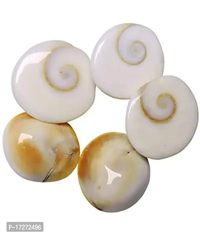 Saptraag 51 Pieces Big Size gomti Chakra 1.5 cm (White)-thumb2