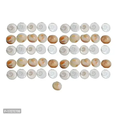 Saptraag Gomti Chakra (100 pc, Small)