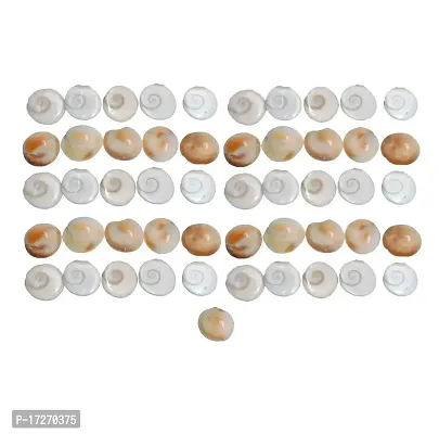 Saptraag Gomti Chakra (51 pc, 1.5 cm)