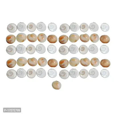 Saptraag Gomti Chakra (100 pc, Small)-thumb3