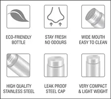 Stainless Steel BOTTLE PACK OF 4 4000 L-thumb2