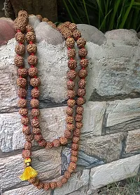 Jangra Authentic Rudraksh Mala Genuine Himalayan Rudraksha Seeds Religious Ornament Rosary Japa Mala- Imported from Nepal-thumb3