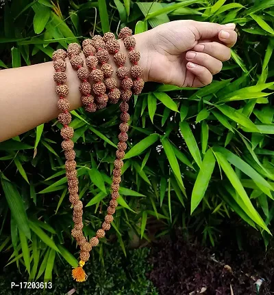 Jangra Authentic Rudraksh Mala Genuine Himalayan Rudraksha Seeds Religious Ornament Rosary Japa Mala- Imported from Nepal-thumb3