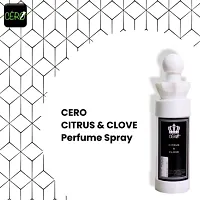 CERO ? CITRUS & CLOVE Perfume Spray for Men 100ml-thumb3