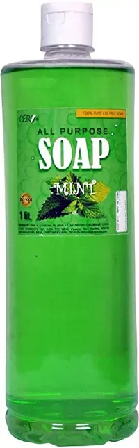 CERO MINT Perfume All Purpose Soap (1lit).