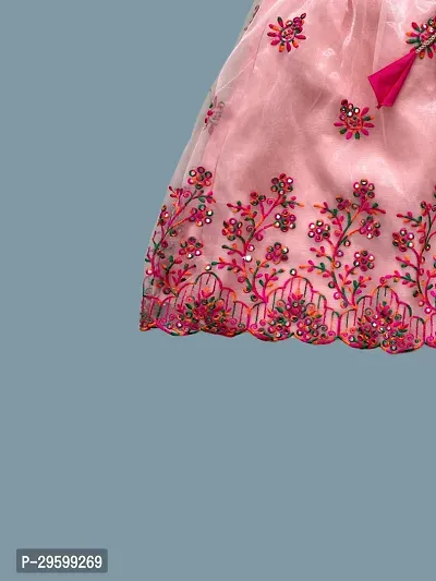 Latest Beautiful Silk Lehenga Choli for Girls-thumb5