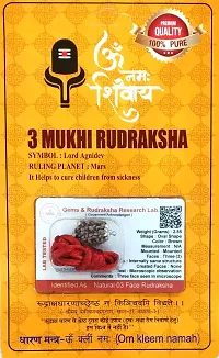 Three Mukhi  Rudraksha Original Nepali 3 Mukhi Rudraksha 3 faced Rudraksha With In Brown Colour  And Made With Wooden Material-thumb2