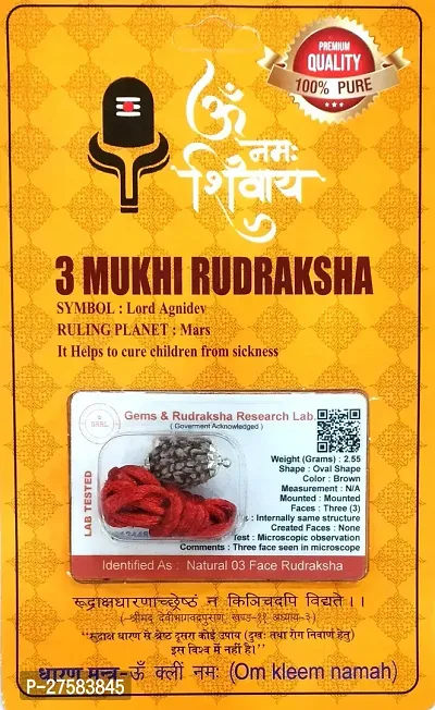 Three Mukhi  Rudraksha Original Nepali 3 Mukhi Rudraksha 3 faced Rudraksha With In Brown Colour  And Made With Wooden Material-thumb3