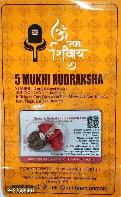 5 Mukhi Rudraksha Original Rudraksha With Silver Plated This Rudraksha  Certified With Goverment The Five Faces Rudraksha Is Wearing Both Of Men And Women