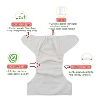 Teri Beri Baby's All in One Washable Reusable Adjustable Cloth 2 Diapers with 2 White Inserts (Assorted Colour)-thumb2