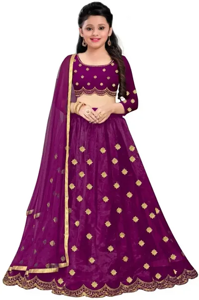 Beautiful Net Lehenga Cholis 