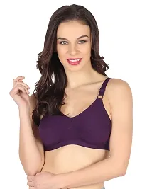 winsure Women's Everyday Full Coverage Non Padded Non Wired Seamed Bra Broad Straps and Hooks Cotton Lycra Fabric 3 Colors Combo Size (B, 42)-thumb1