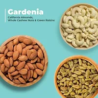 Premium Quality Cashew, Raisins and Almond. Pack of 3-thumb1