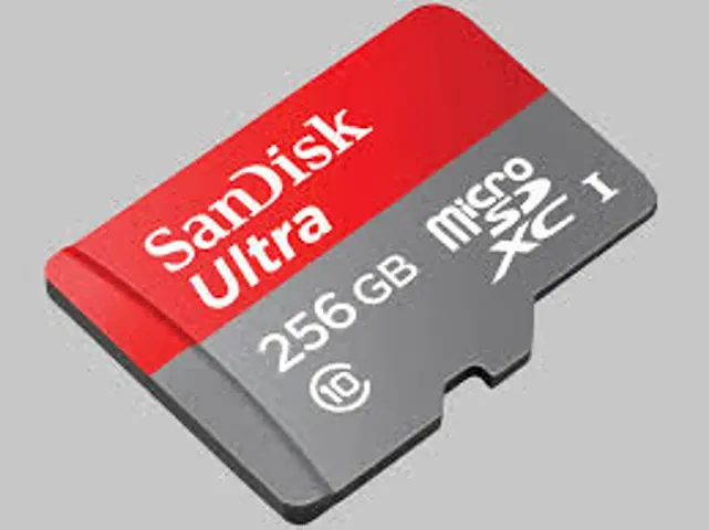 256GB MEMORY CARD C10