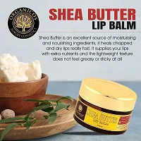 Organicos Herbal Shea Butter Lip Balm For Women 100% Beewax for Moisturizing Lip Care | Long Lasting Hydrating Soothing Dry Lip Repair Treatment Lightly Fragranced Cruelty Free with Almond Oil 15 gm-thumb1