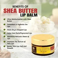 Organicos Herbal Shea Butter Lip Balm For Women 100% Beewax for Moisturizing Lip Care | Long Lasting Hydrating Soothing Dry Lip Repair Treatment Lightly Fragranced Cruelty Free with Almond Oil 15 gm-thumb2